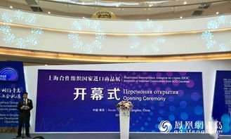 上合組織國家進口商品展在青島成功舉辦，促進區(qū)域經(jīng)濟合作新機遇